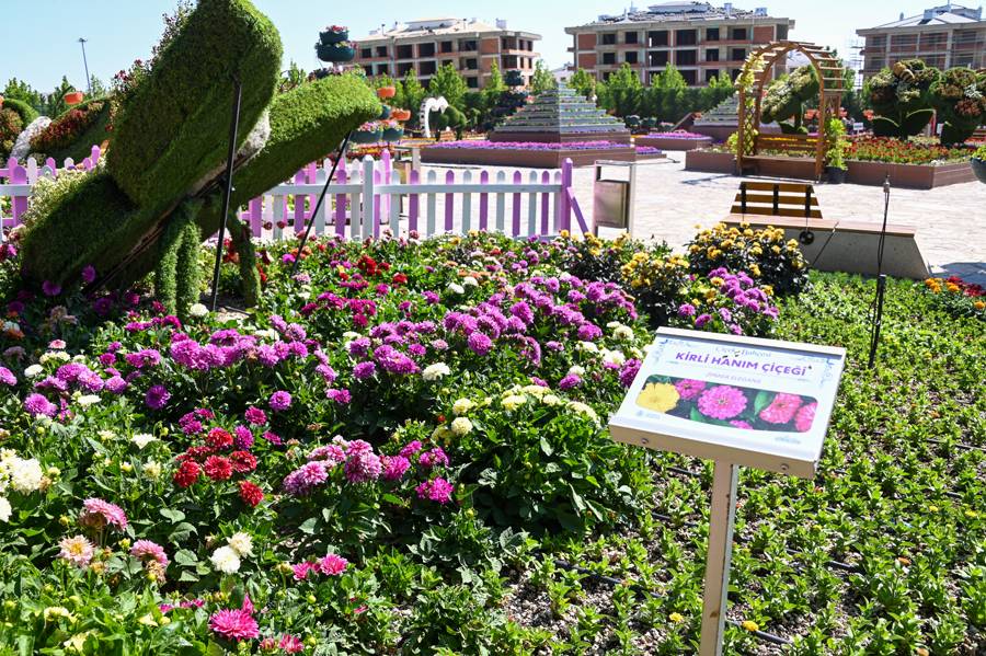 Türkiye'de daha büyüğü yok! Selçuklu Çiçek Bahçesi yeniden kapılarını açtı 19